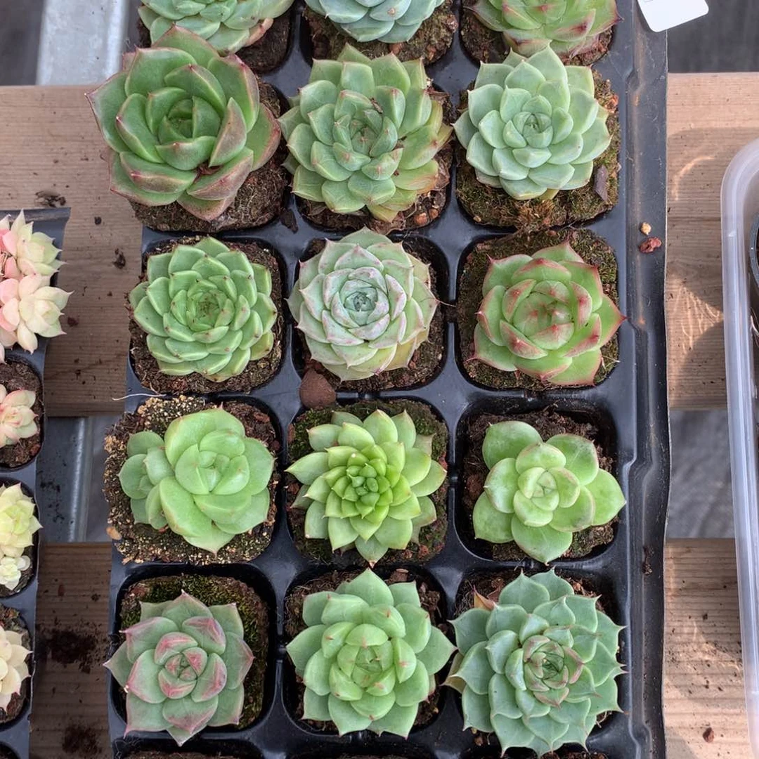 反反复复的感觉真好啊我的014