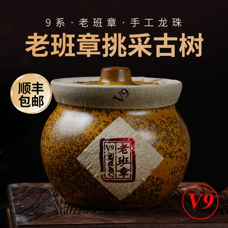 老班章V9 古树龙珠 2021普洱春茶龙珠茶古树生茶 帮哥的龙珠