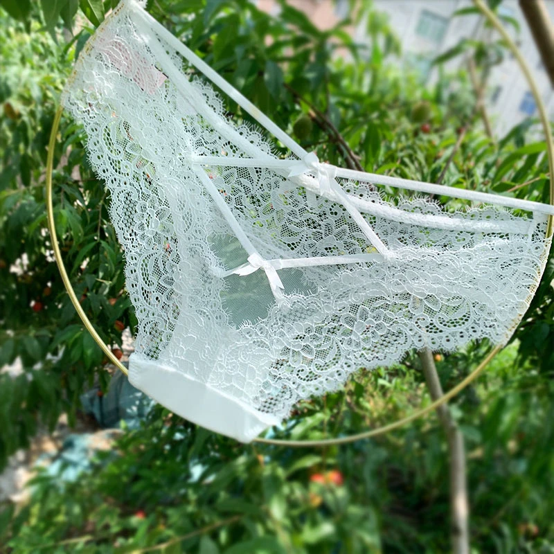 蕾丝白色时尚时尚性感 夏季内裤镂空薄款女 士中低腰网纱透气无痕
