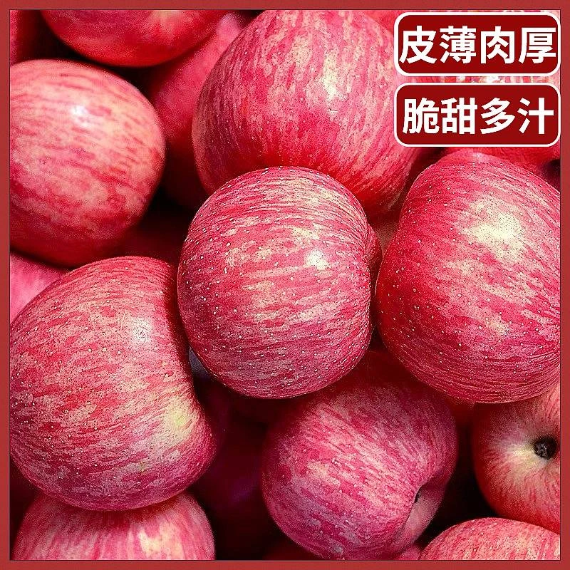 红富士苹果
