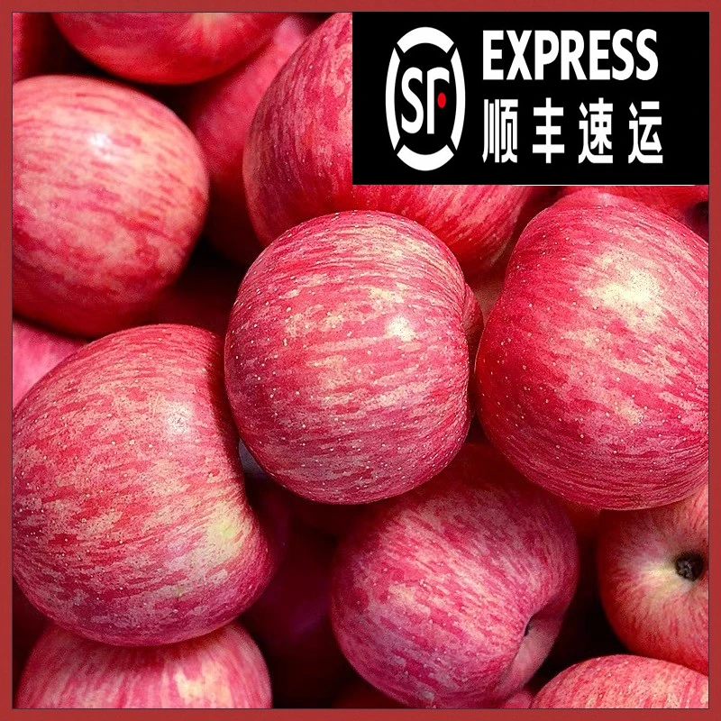 【SF快递】陕西延安洛川红富士苹果净重4.5斤-8.5斤