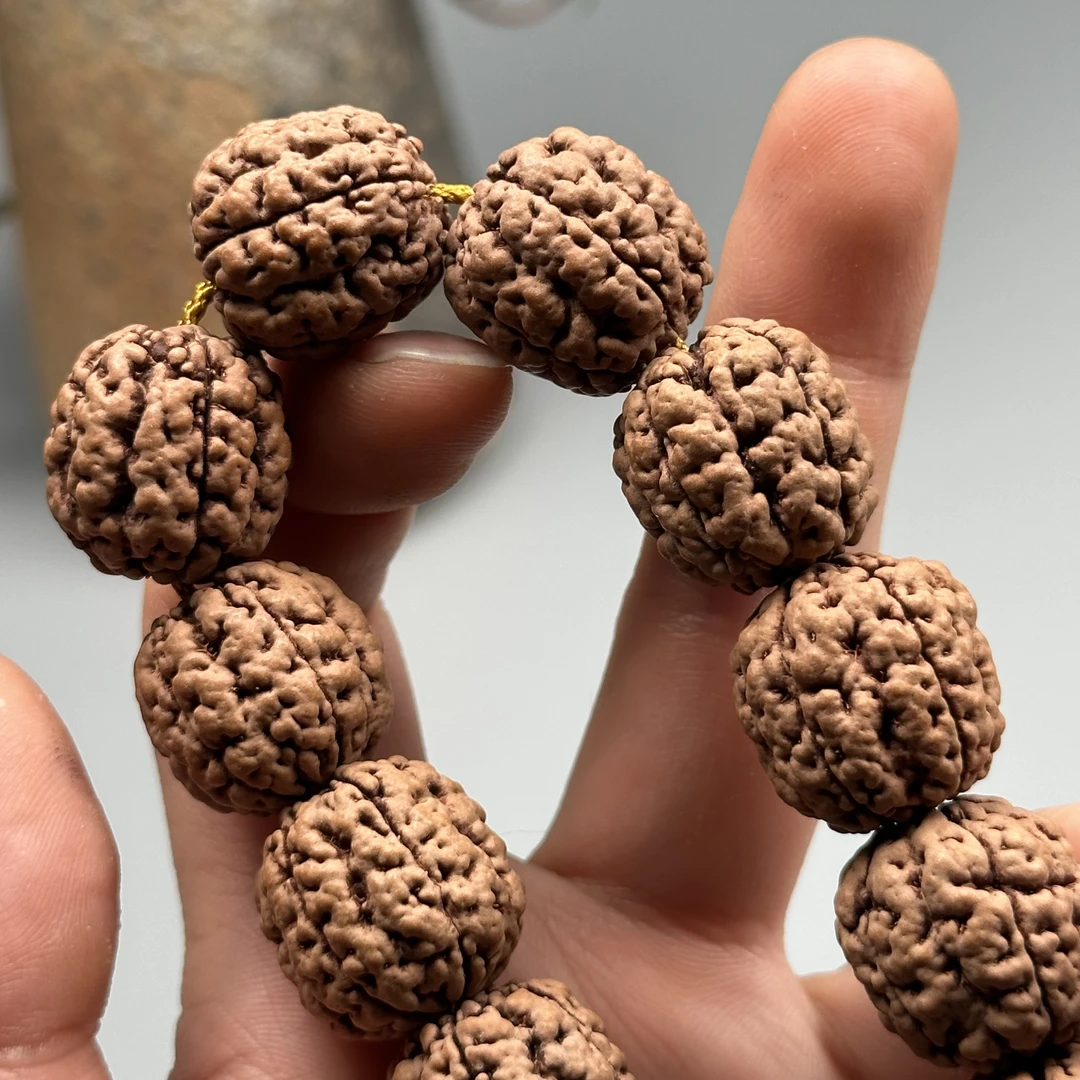 金刚菩提碧根果单圈