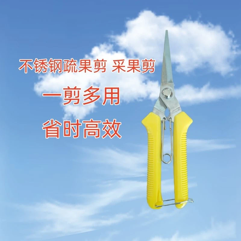 新款多功通用能剪刀不锈钢园艺剪省力稀果剪摘果剪修花剪园林工具
