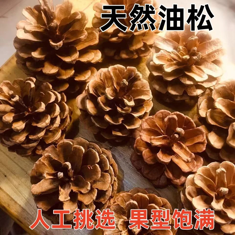 天然松果干花圣诞树DIY装饰材料摄影橡果棉花艺花环花束配饰混搭