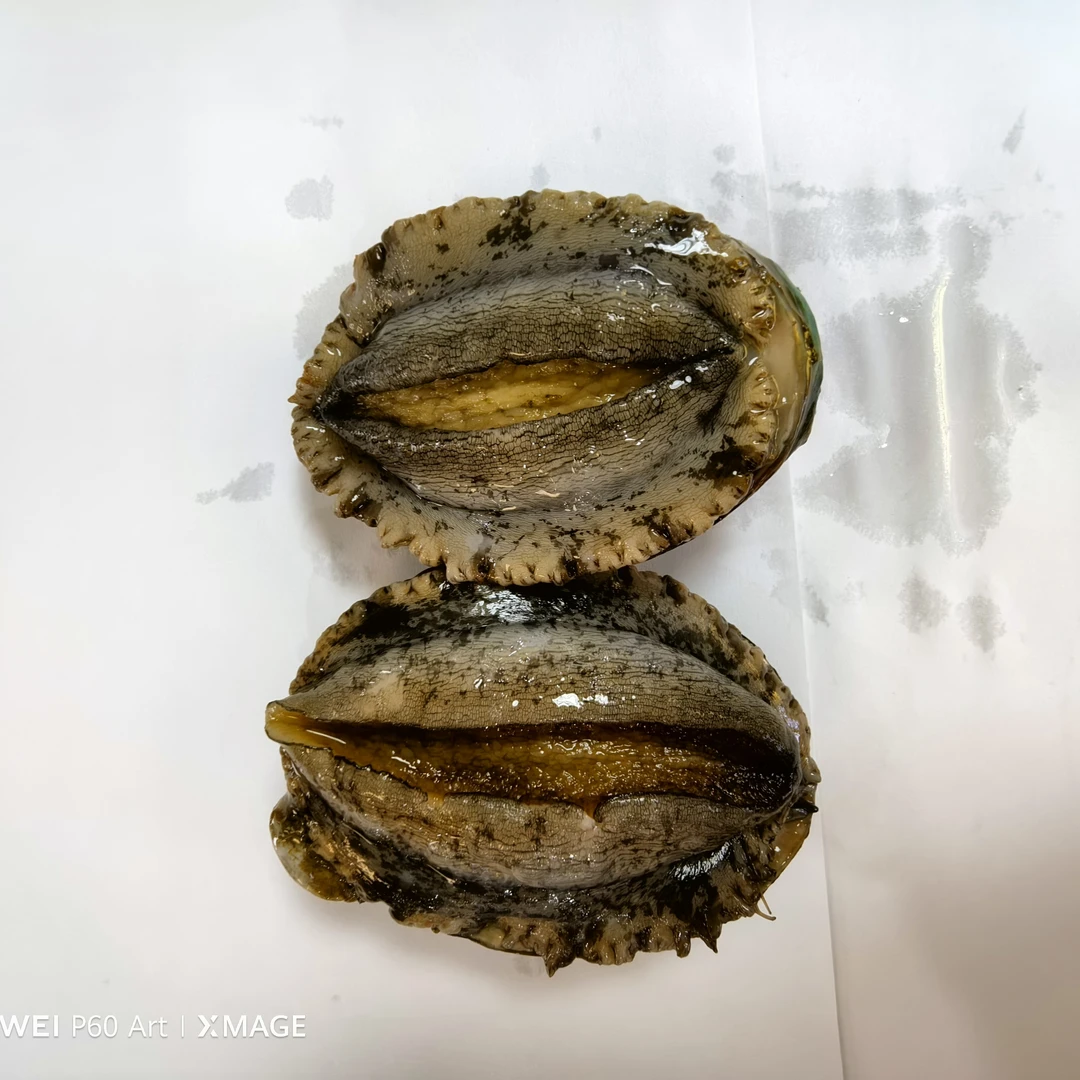 鲜活鲍鱼100-125克  满300包邮