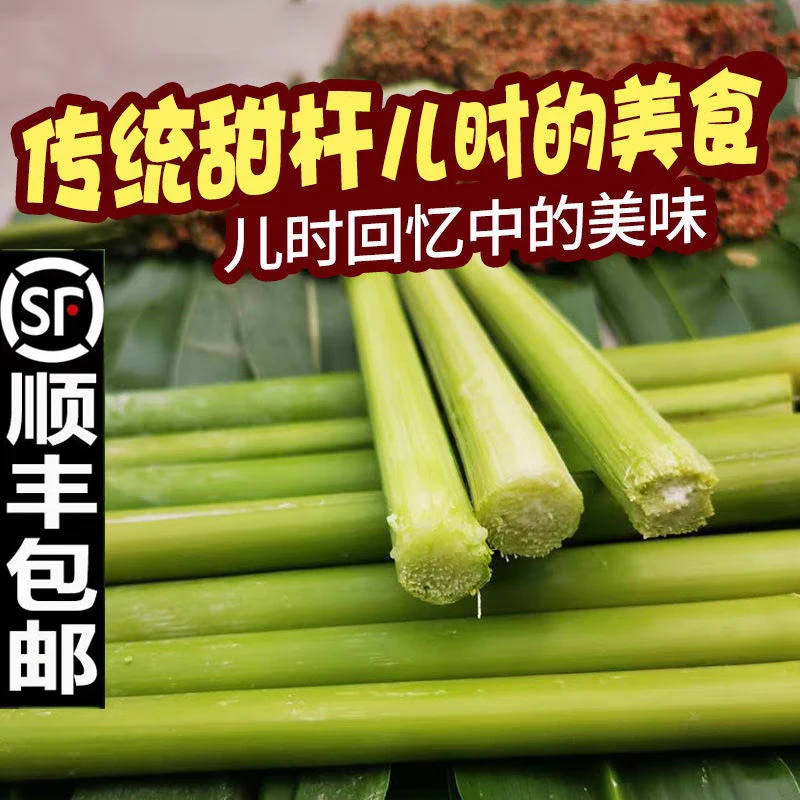 顺丰包邮 上海崇明 现采现采 甜芦粟中间段5斤装（ 坏单赔）正宗