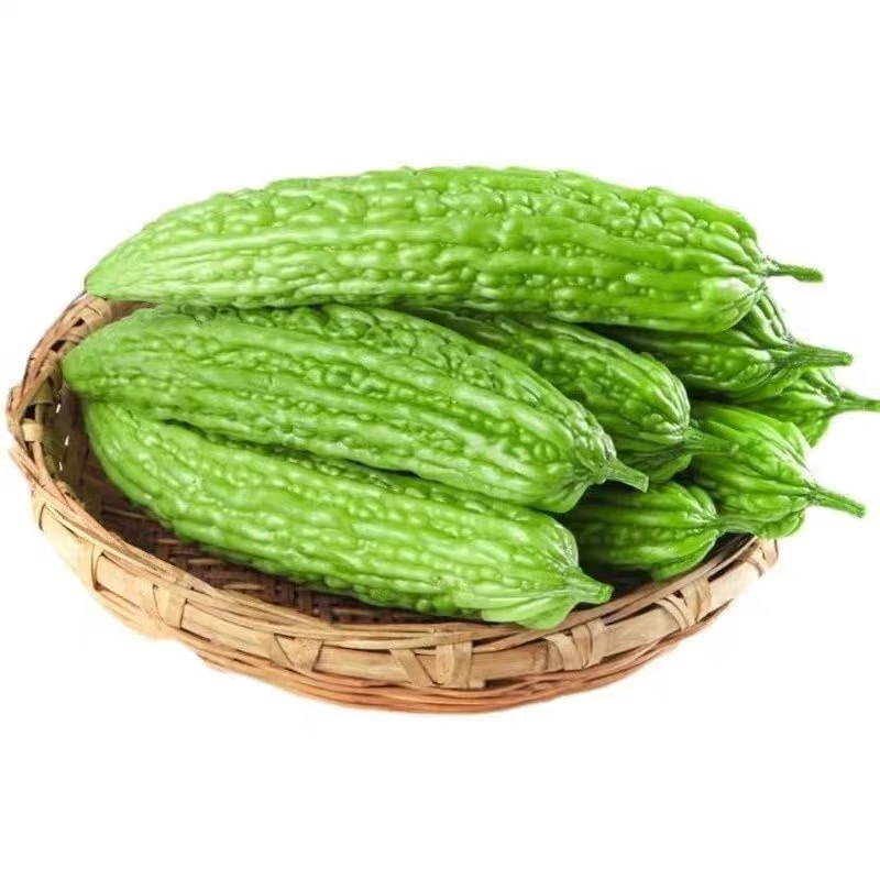 顺丰包邮 上海崇明现摘苦瓜 鲜绿 苦瓜 3斤装