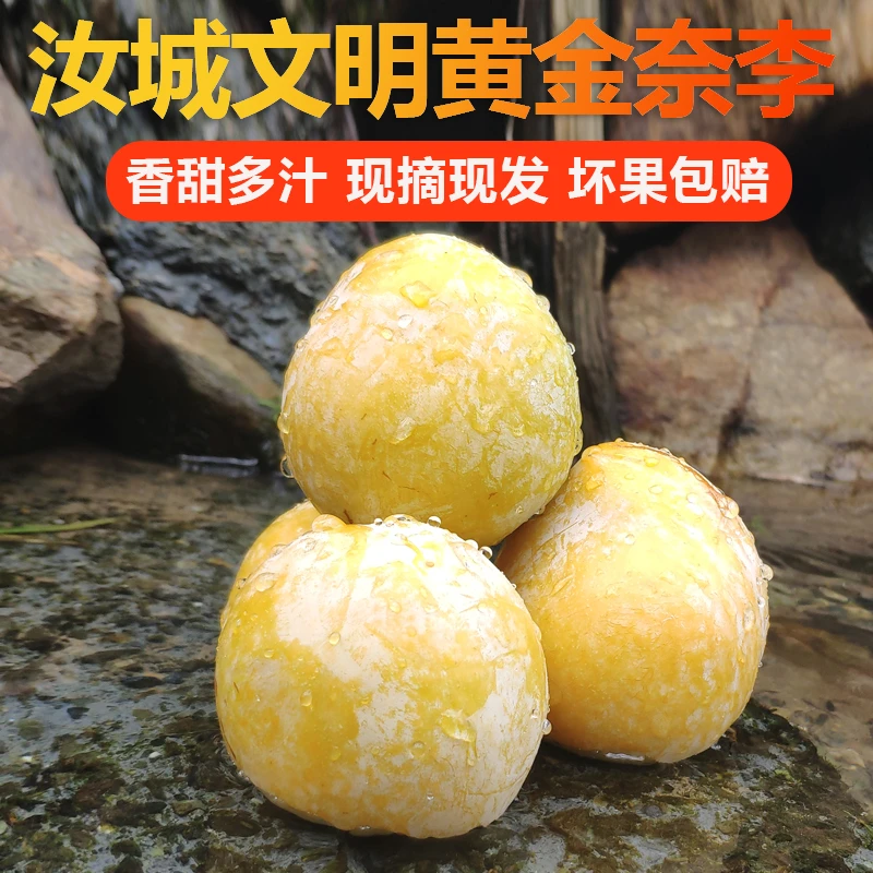 正宗湖南汝城文明黄金奈李子新鲜孕妇水果脆甜3/5/10斤非九峰山