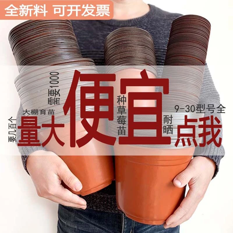 多肉花盆塑料育苗盆简约一次性双色阳台种菜绿植盆栽家用桌面大号
