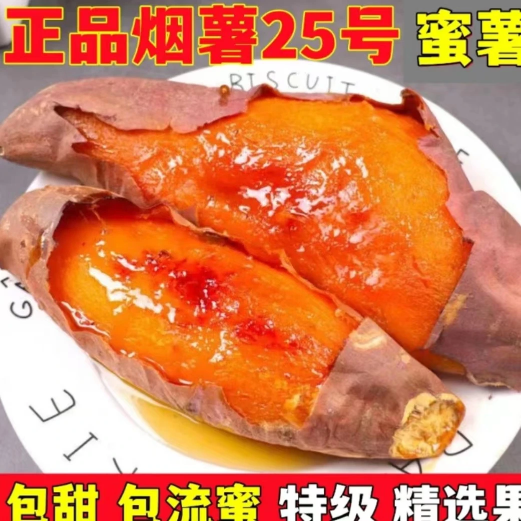 【已糖化烟薯25】坏果包赔山东红薯烤地瓜糖心蜜薯净重5斤9斤番薯