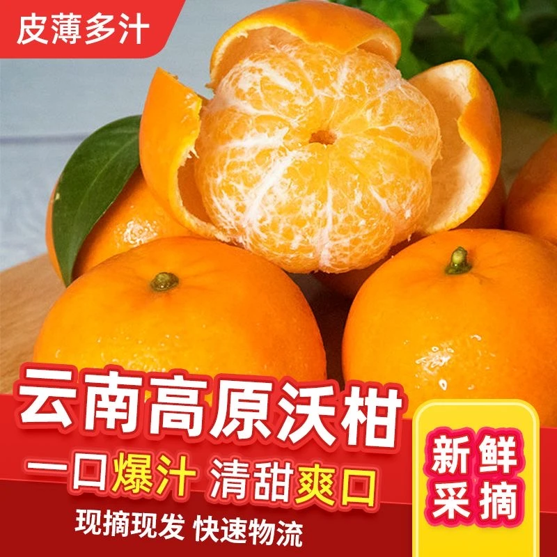 XP云南高原沃柑4.5-5斤装酸甜多汁皮薄肉厚新鲜采摘发货
