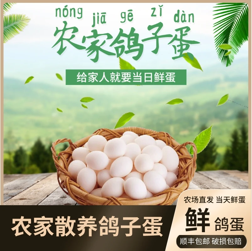 【坏损包赔】农家杂粮优质鲜鸽子蛋10枚尝鲜装挑选22-25克食用营养