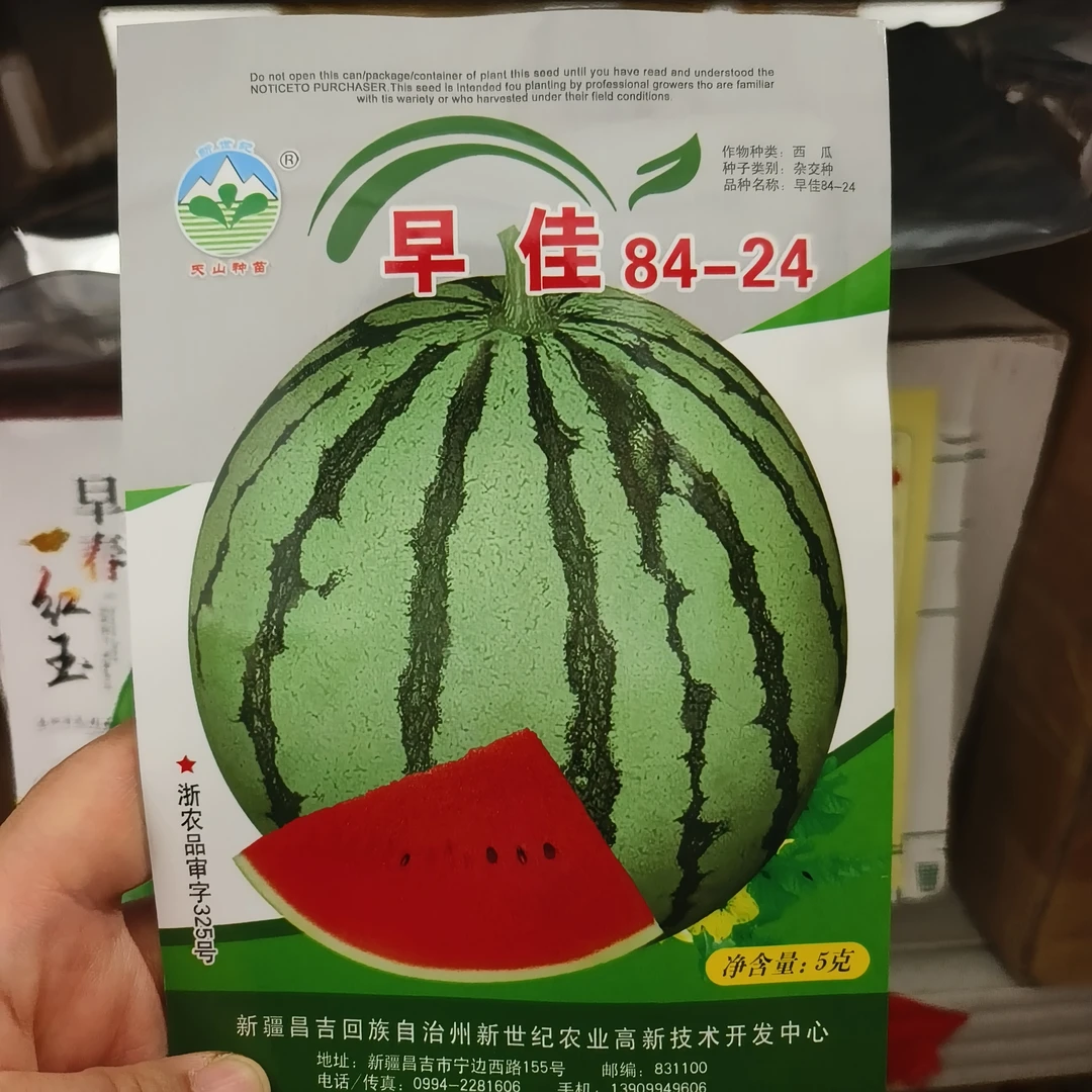 四季西瓜南瓜种子8424四川种植西瓜种子早熟含糖高少籽