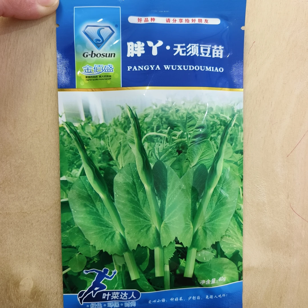 金佰盛胖丫无须豆苗豌豆苗尖种子豆苗25天采收清香鲜嫩秋冬早春播