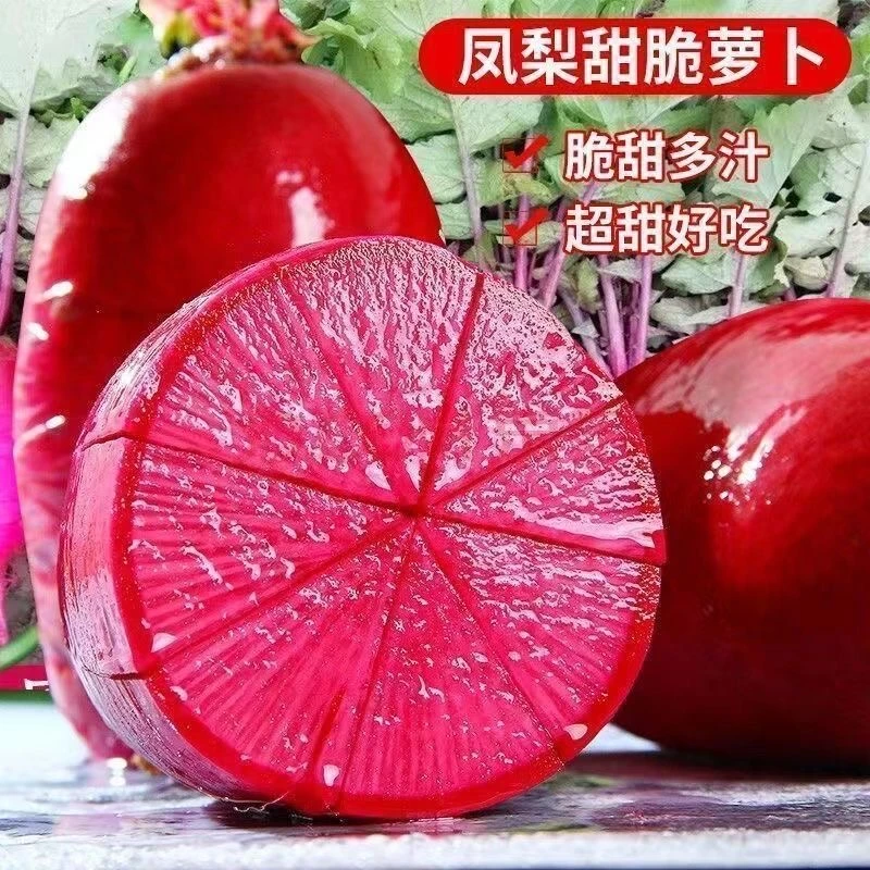 【全店满5/包免邮】红心红皮萝卜种子透心红凤梨甜脆萝卜籽种子