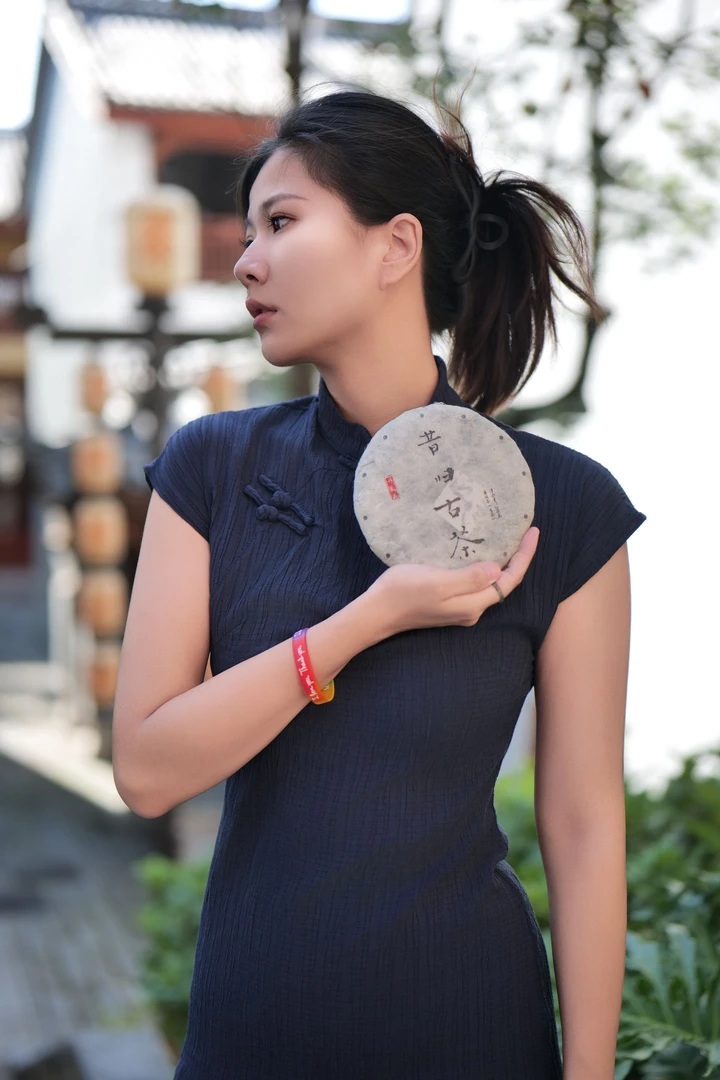 梦寻山茗 05年昔归老茶 200g