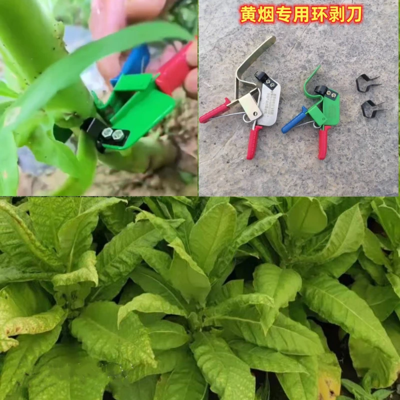 烤烟剥皮神器黄烟环割刀黑暴烟环割工具剥皮工具荔枝高压环割