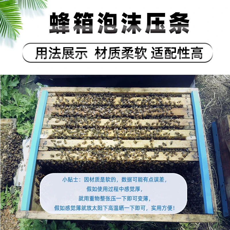 蜂具蜂蜜蜂箱泡沫压条专场固定防晃动固定条养蜂工具
