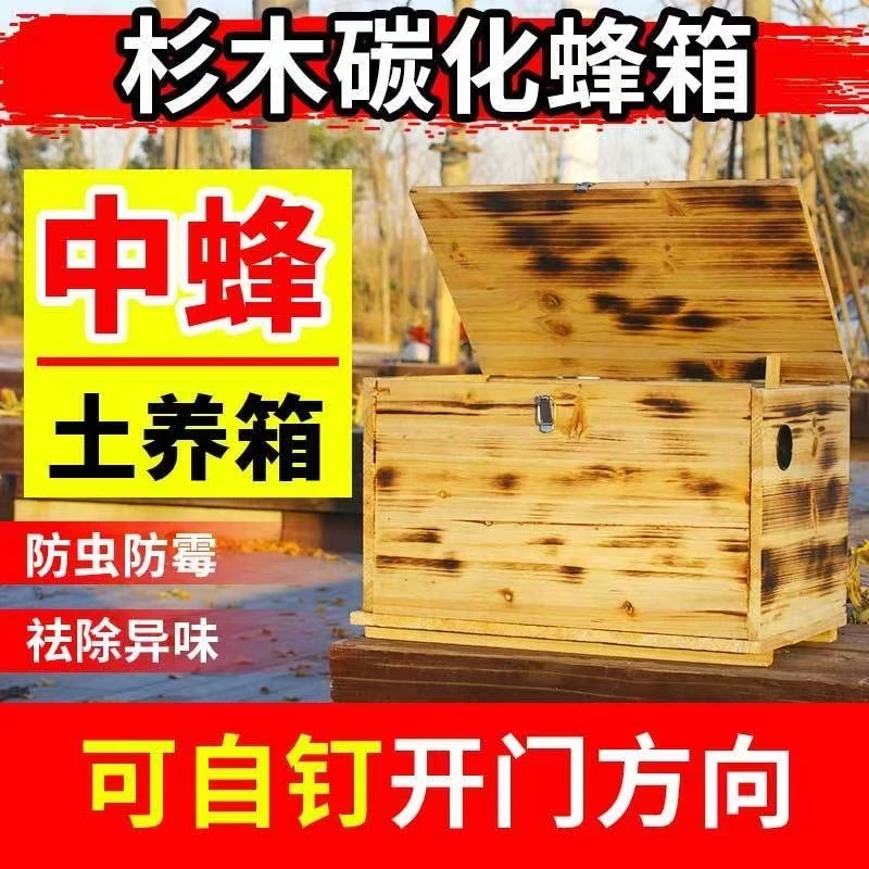 碳化沉盖式中蜂养蜂蜂箱全杉木烘干蜜蜂箱中蜂专用诱蜂箱全套蜂桶