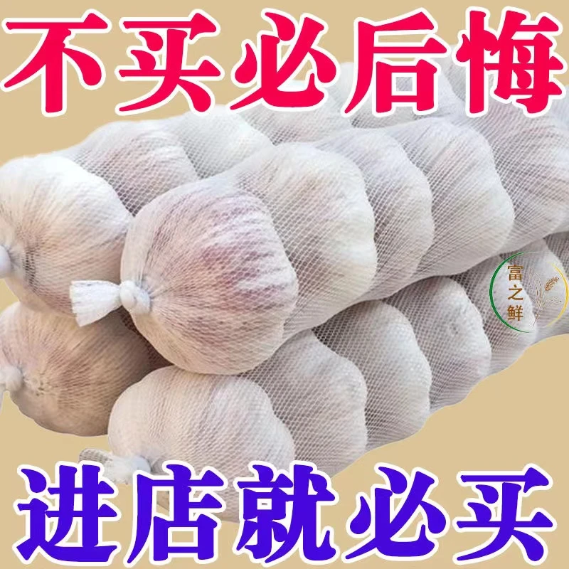 【跳楼价】山东特大紫皮大蒜头正宗优质大蒜新干蒜蒜子批发/1/3/5