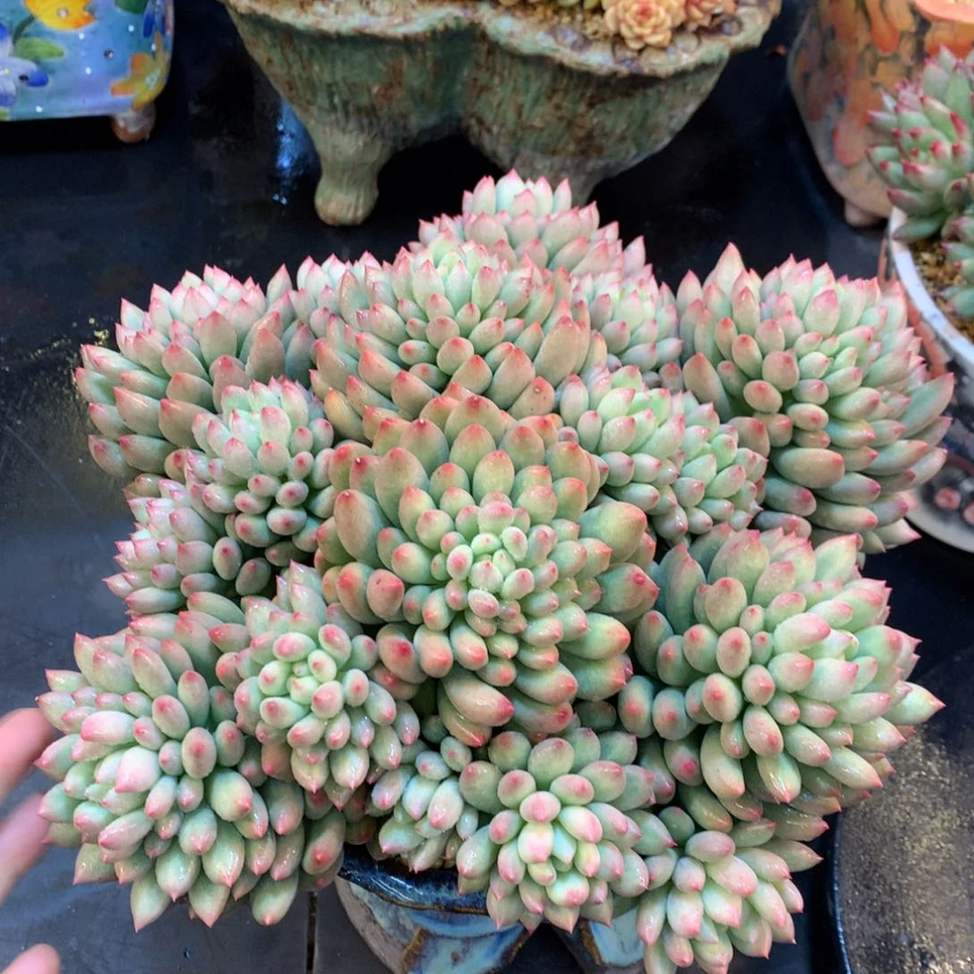 在在在在在在在在我现在我现在