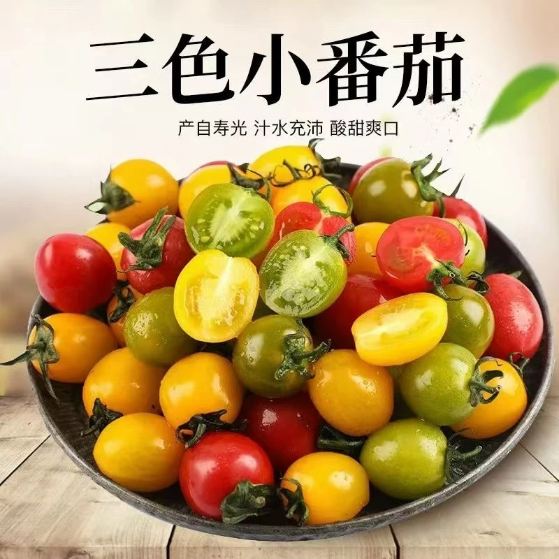 【顺丰明天到】三色混装小番茄 4斤左右