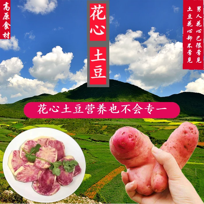 云南2025年新鲜七彩土豆红皮黄心高原马铃薯洋芋
