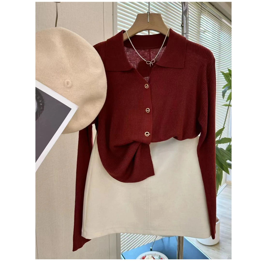 秋冬2024新款POLO领毛衣纽扣高级设计感别致长袖针织开衫打底上衣