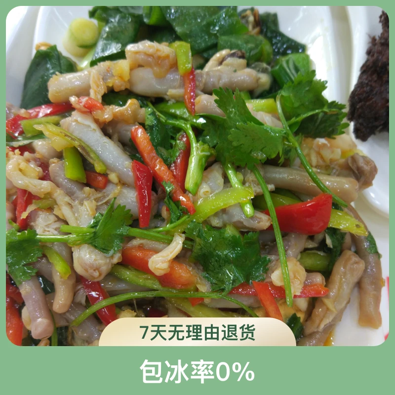 【二姐推荐】海螺须  海螺鼻子 海螺触角（冻发）