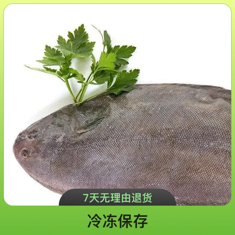【二姐推荐】龙利鱼   舌鳎鱼（干冰发货）