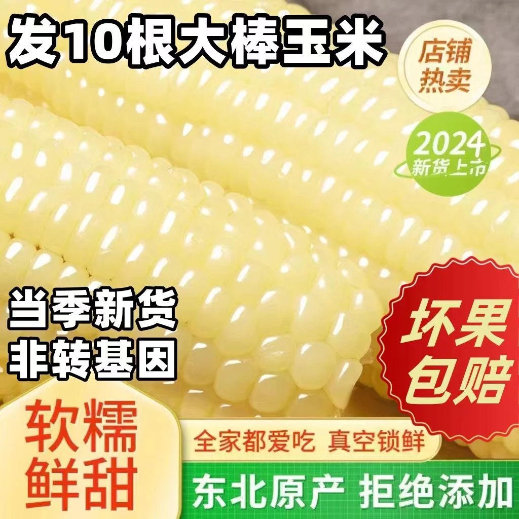 【试吃2根】整箱10根到手5.5斤以上东北正宗白甜糯香甜软糯玉米精品