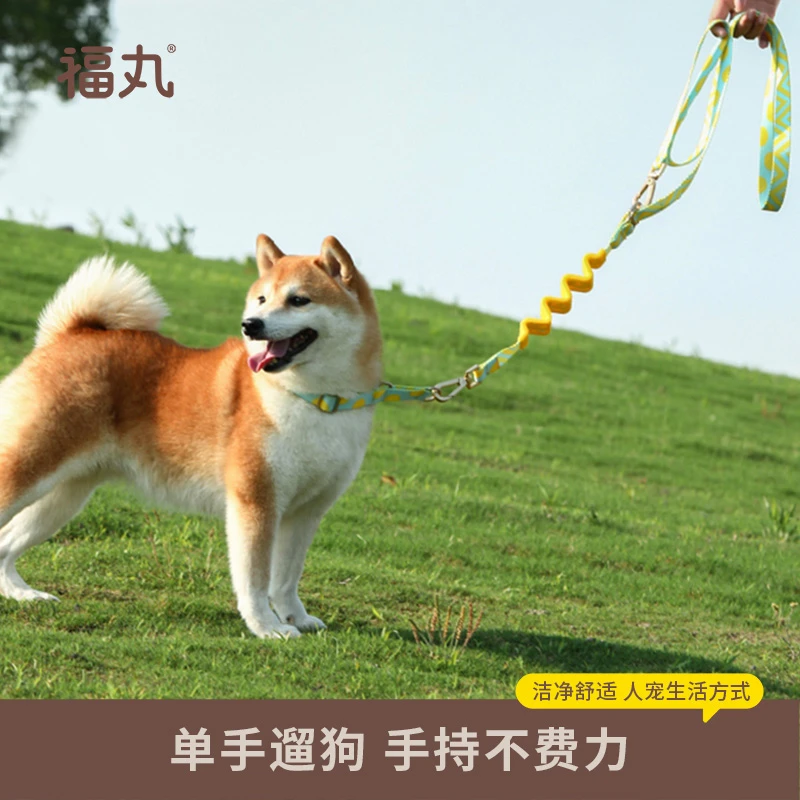 福丸狗狗牵引绳套装外出专用狗链子自动伸缩遛狗神器中小型犬宠物