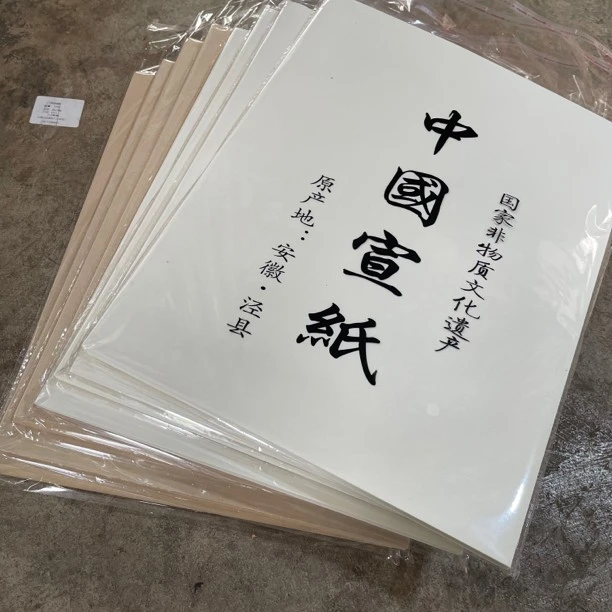 《蔡侯纸》精品半熟日课作品手札，创作便捷无需裁剪
