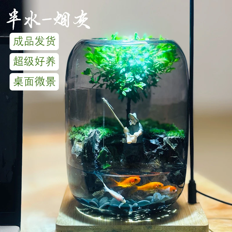 苔藓微景观生态瓶缸成品盆栽盆景成品造景赤楠绿植好养活桌面卧室