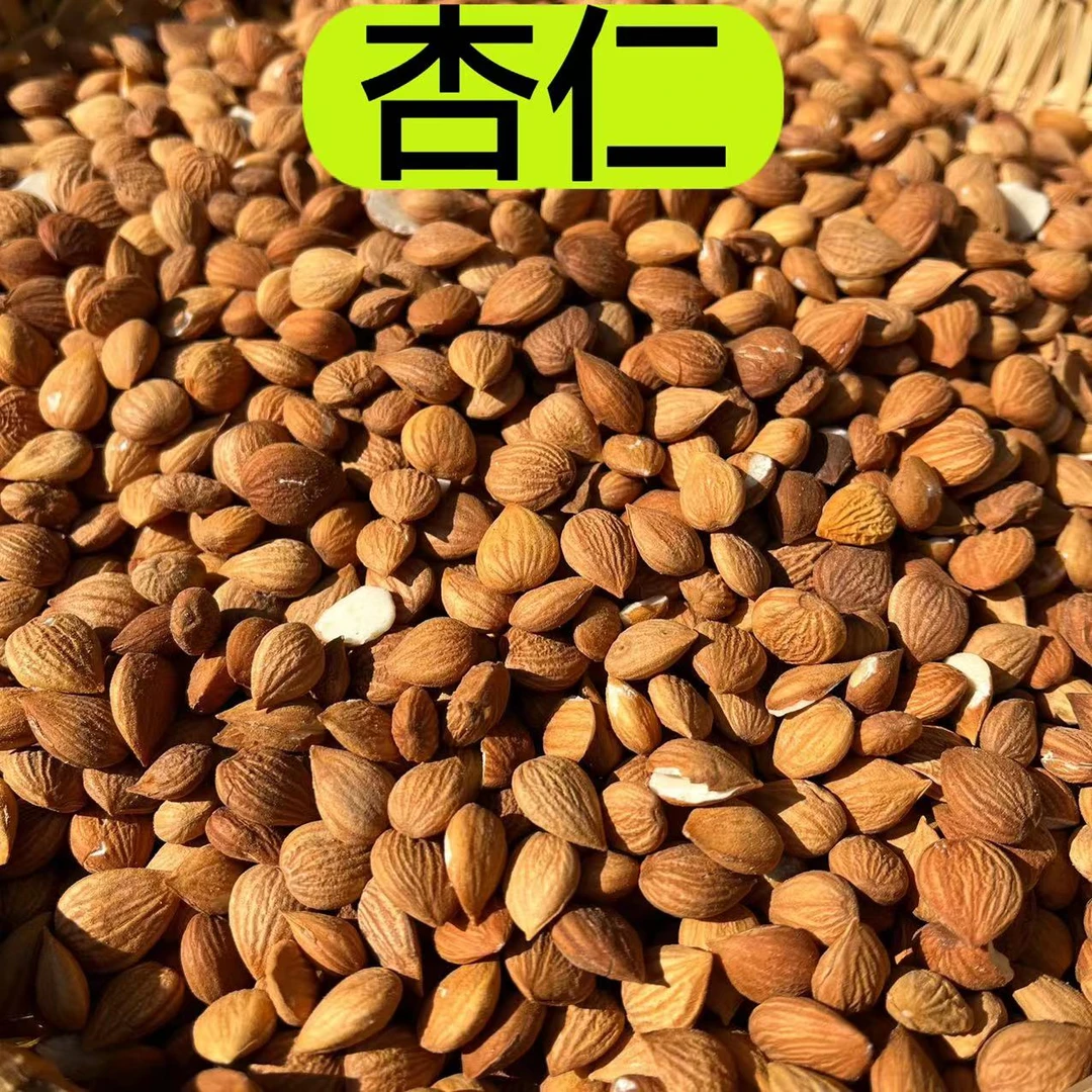 【苦杏仁】甘肃陇南产杏仁 农户自产杏仁 没有去皮 150克