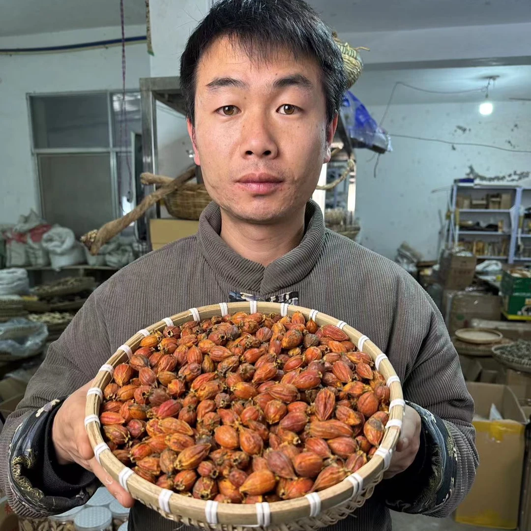 【栀子】江西产种植栀子 山栀子 栀子豆豉汤 250克