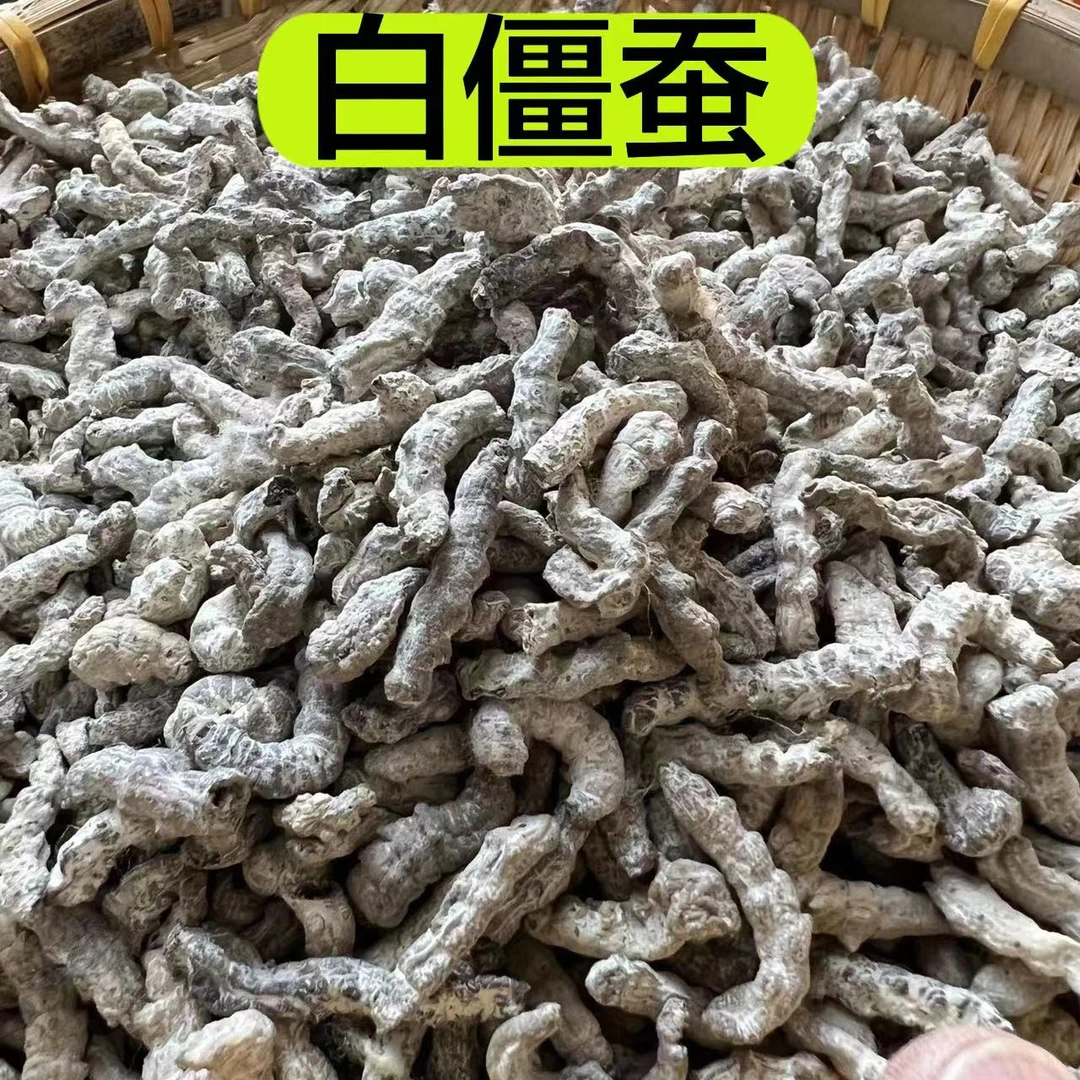 【白僵蚕】精选农家白僵虫无熏无硫  正品白僵蚕100克包邮