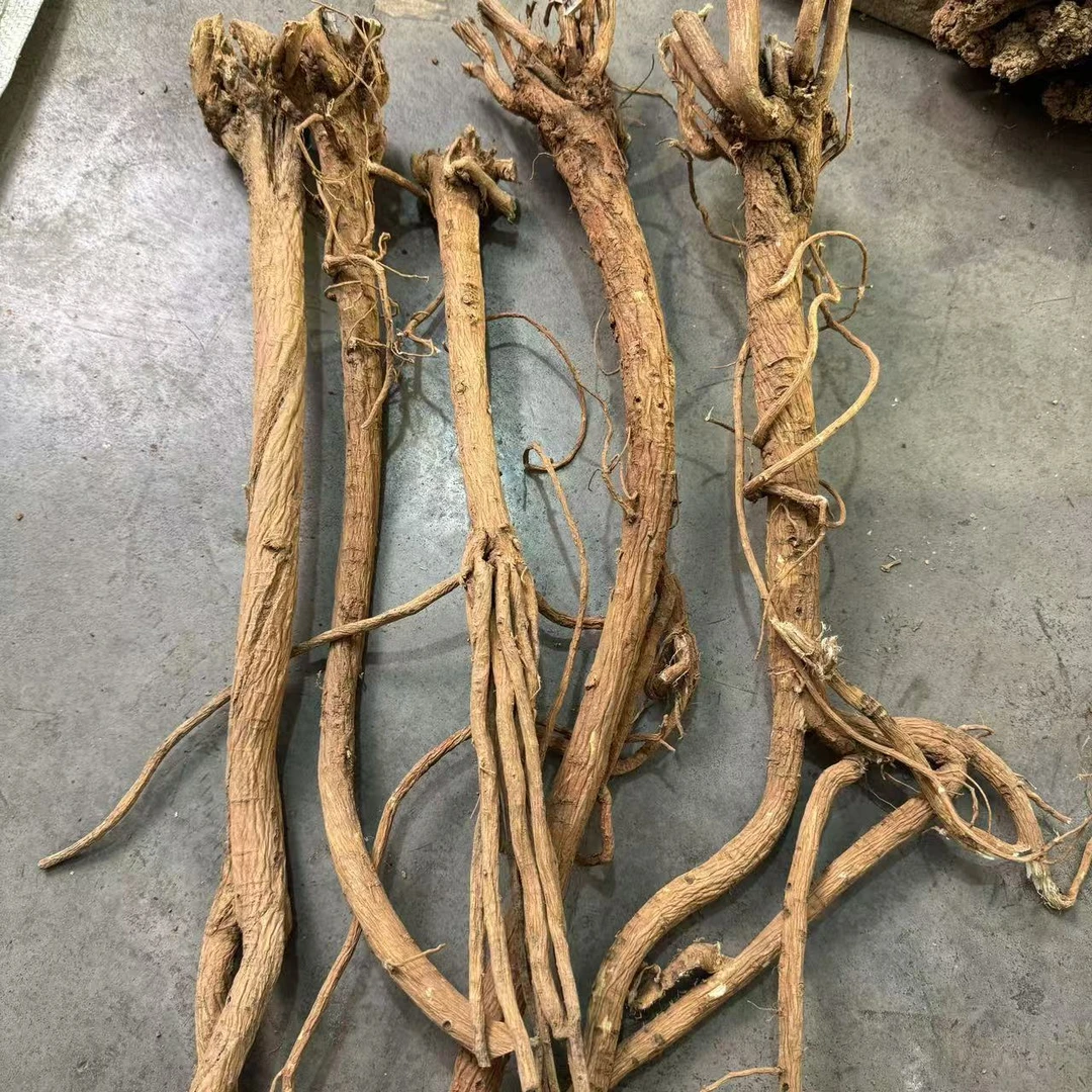 【野黄芪整条】甘肃多年生野黄芪10年以上 500克