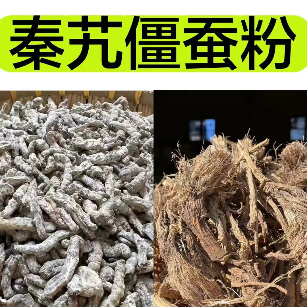 【秦艽僵蚕粉】倪师秦艽僵蚕粉 牙粉 野秦艽+白僵蚕 各100克