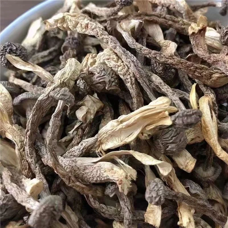 伏牛山鹿荣菇脆脆菇深山农民自种，农家干货