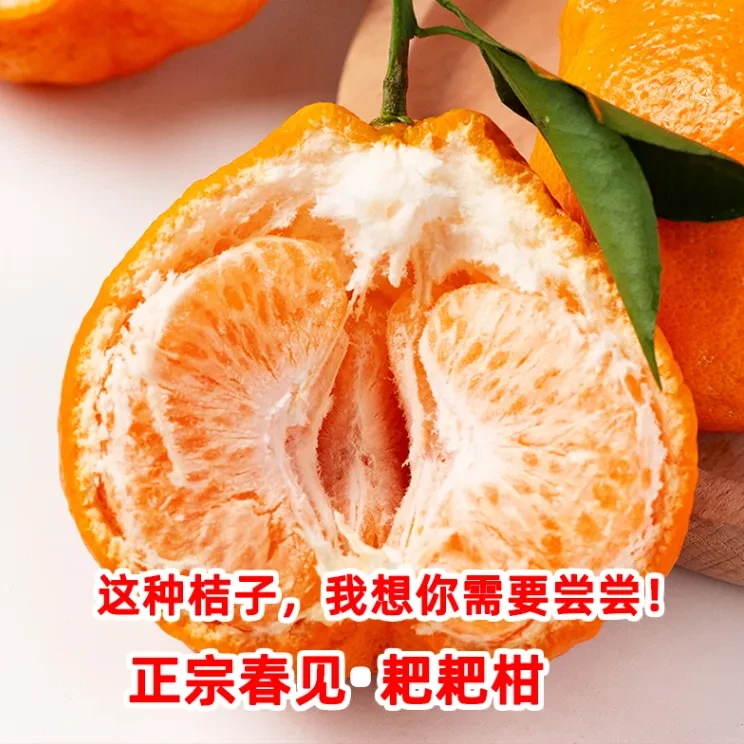 春见耙耙柑 3斤装