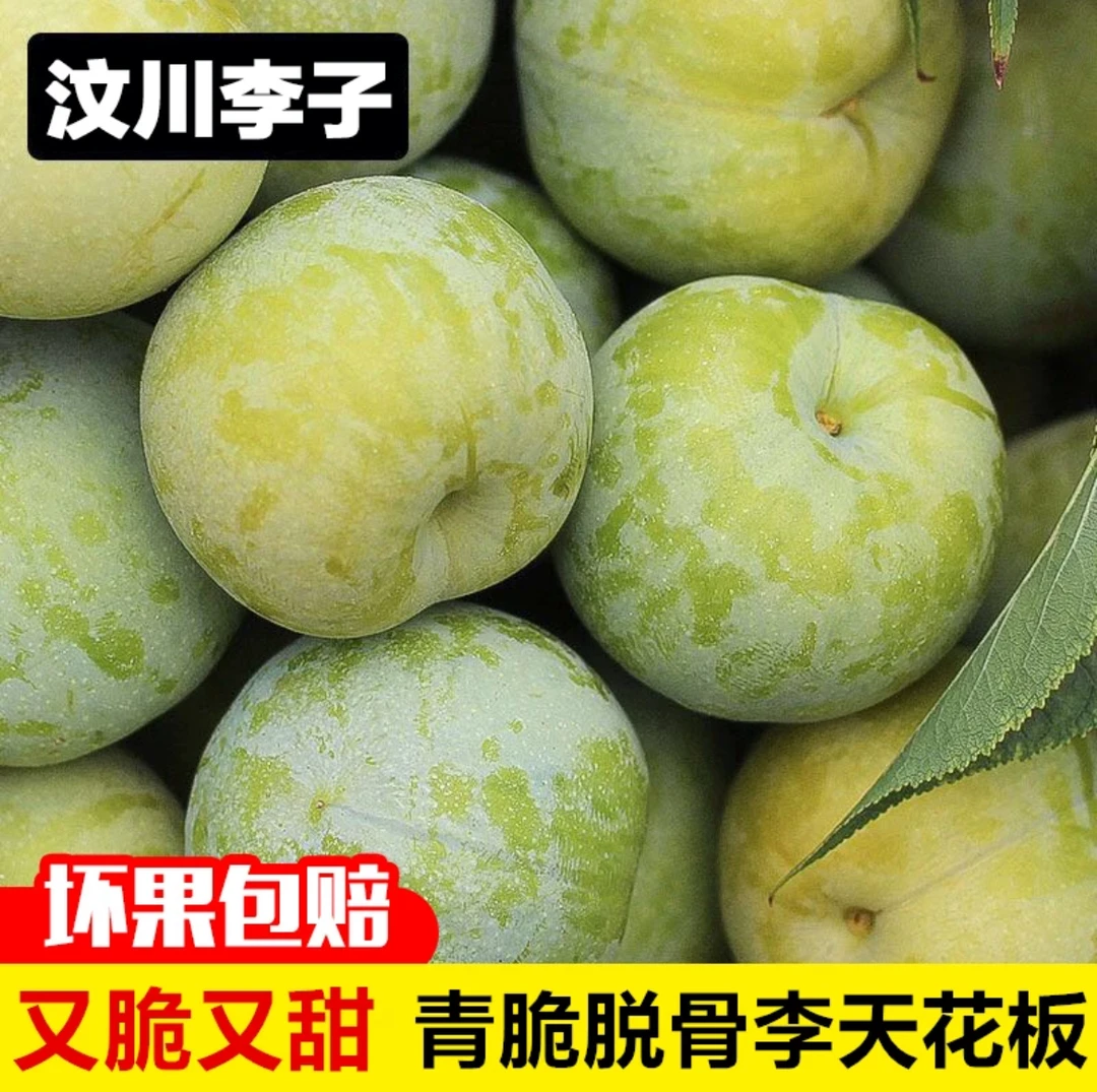 现摘新鲜四川高山青脆脱骨李爽口酸爽清甜李子