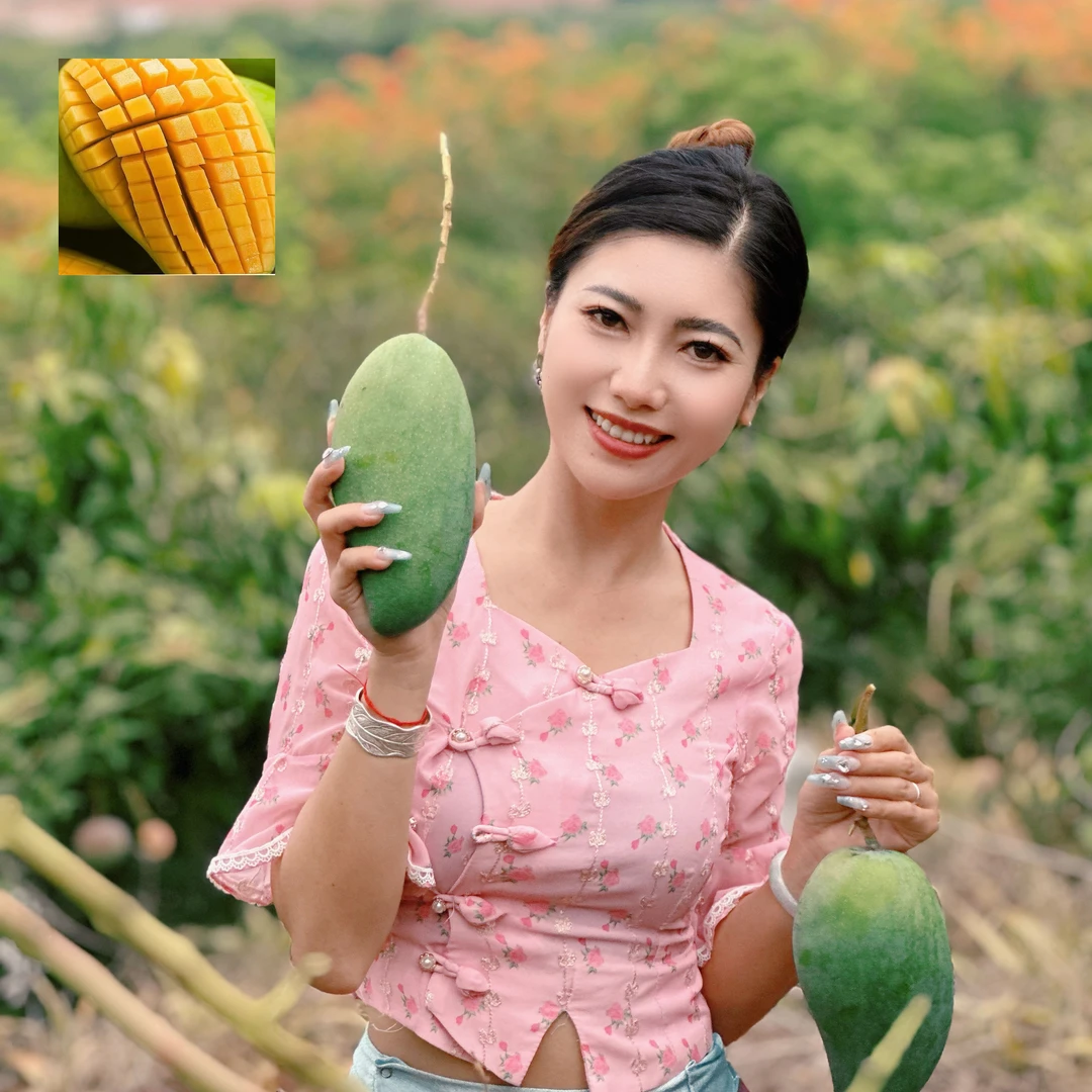 娅娅精选大青芒西双版纳大青芒芒果傣族园主持人推荐送蘸料一包