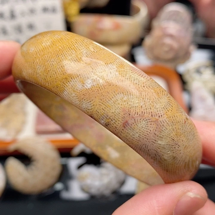 硅化珊瑚（珊瑚玉）手镯未镶嵌54.8