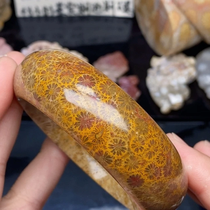 硅化珊瑚（珊瑚玉）手镯未镶嵌58