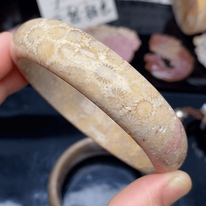 硅化珊瑚（珊瑚玉）手镯未镶嵌58.4