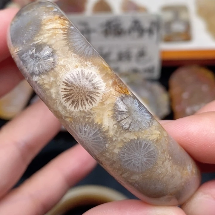 硅化珊瑚（珊瑚玉）手镯未镶嵌56骨骼