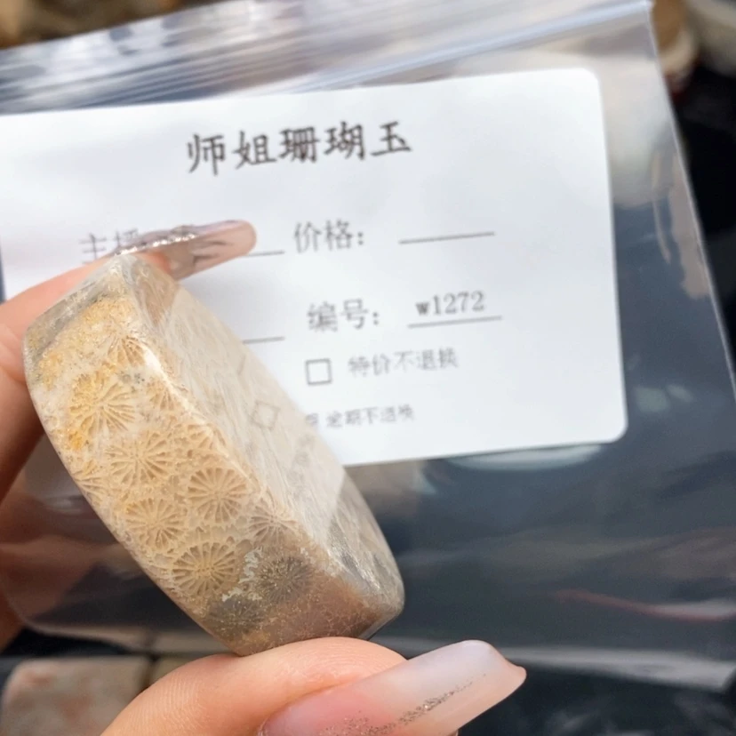 【闪购商品】硅化珊瑚（珊瑚玉）颈饰未镶嵌用****0