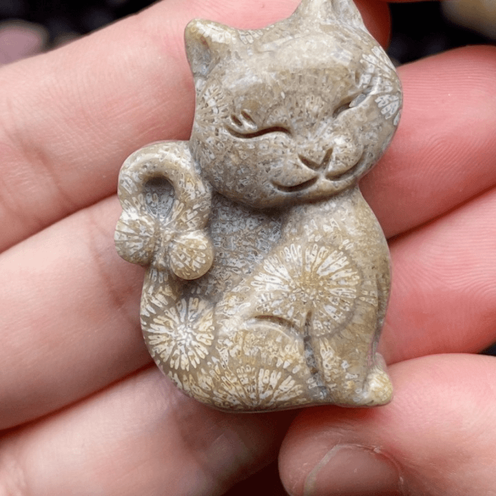 硅化珊瑚（珊瑚玉）手镯未镶嵌