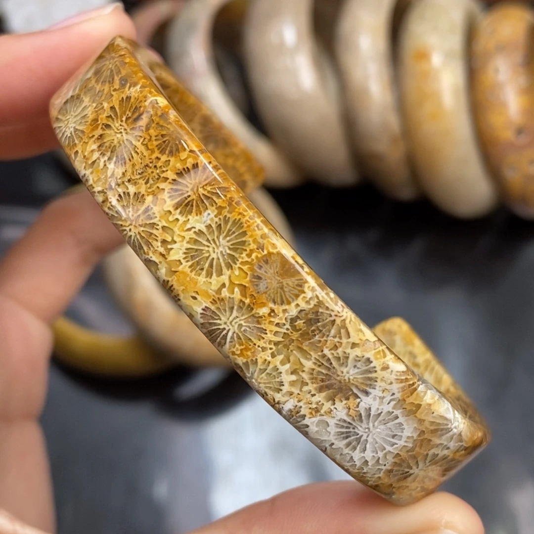 硅化珊瑚（珊瑚玉）手镯（开口镯）未镶嵌圈59